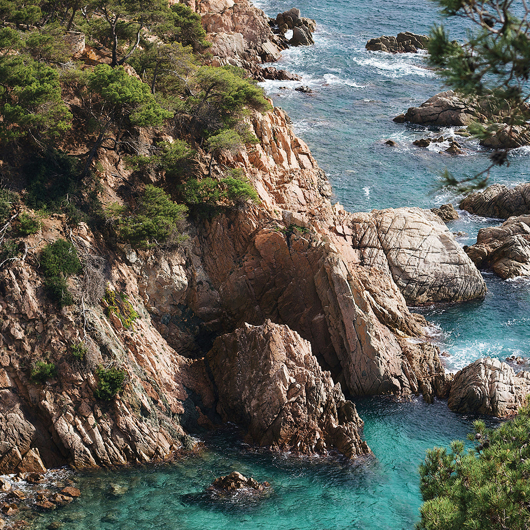 Spearfishing: Beyond Adventure, Understanding Its Importance