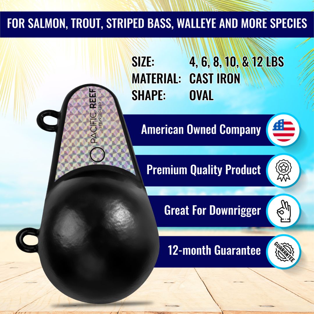 Oval Downrigger Weight