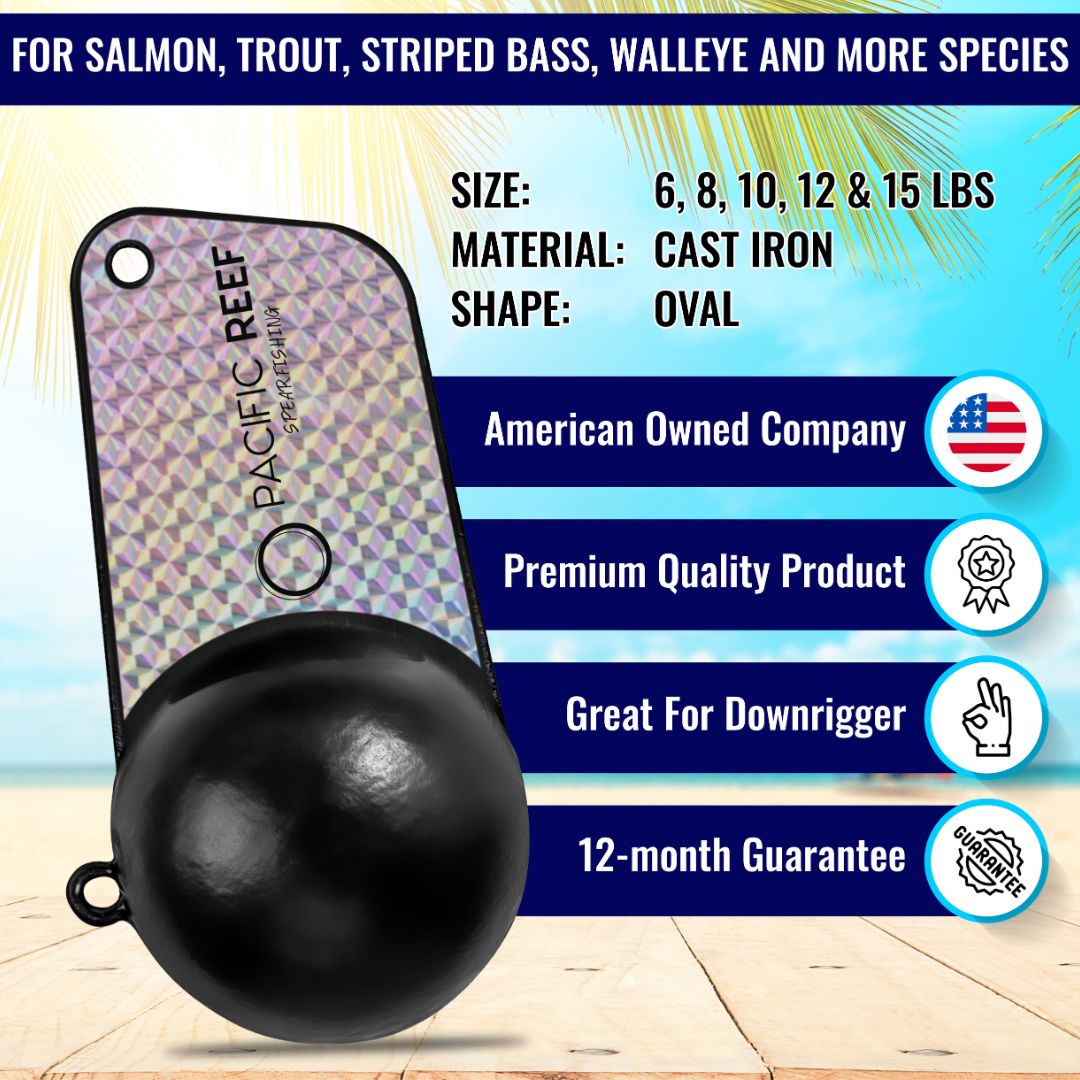 Pancake Downrigger Weight